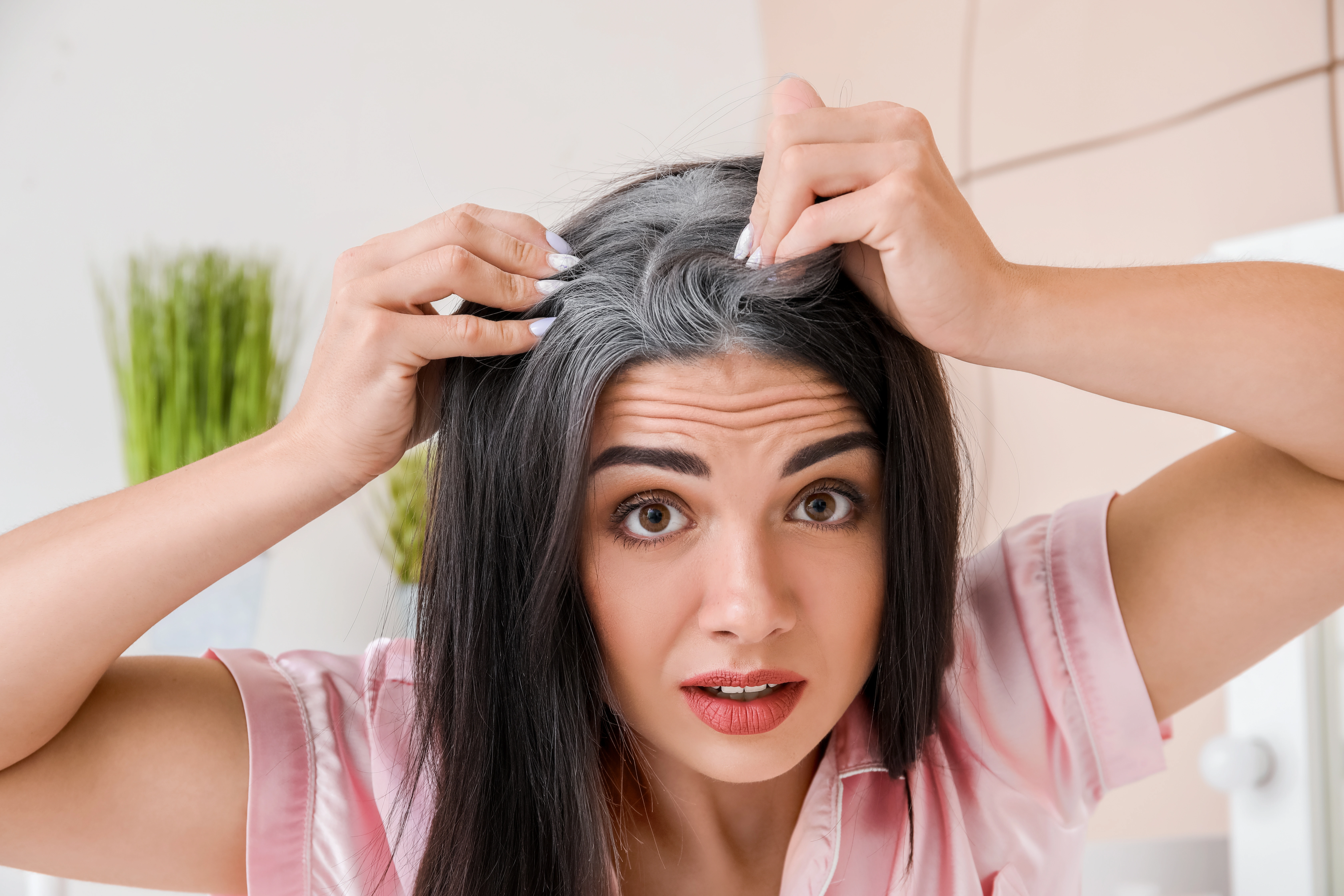 Premature Hair Graying Treatment in Mumbai